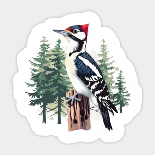 Woodpecker Sticker